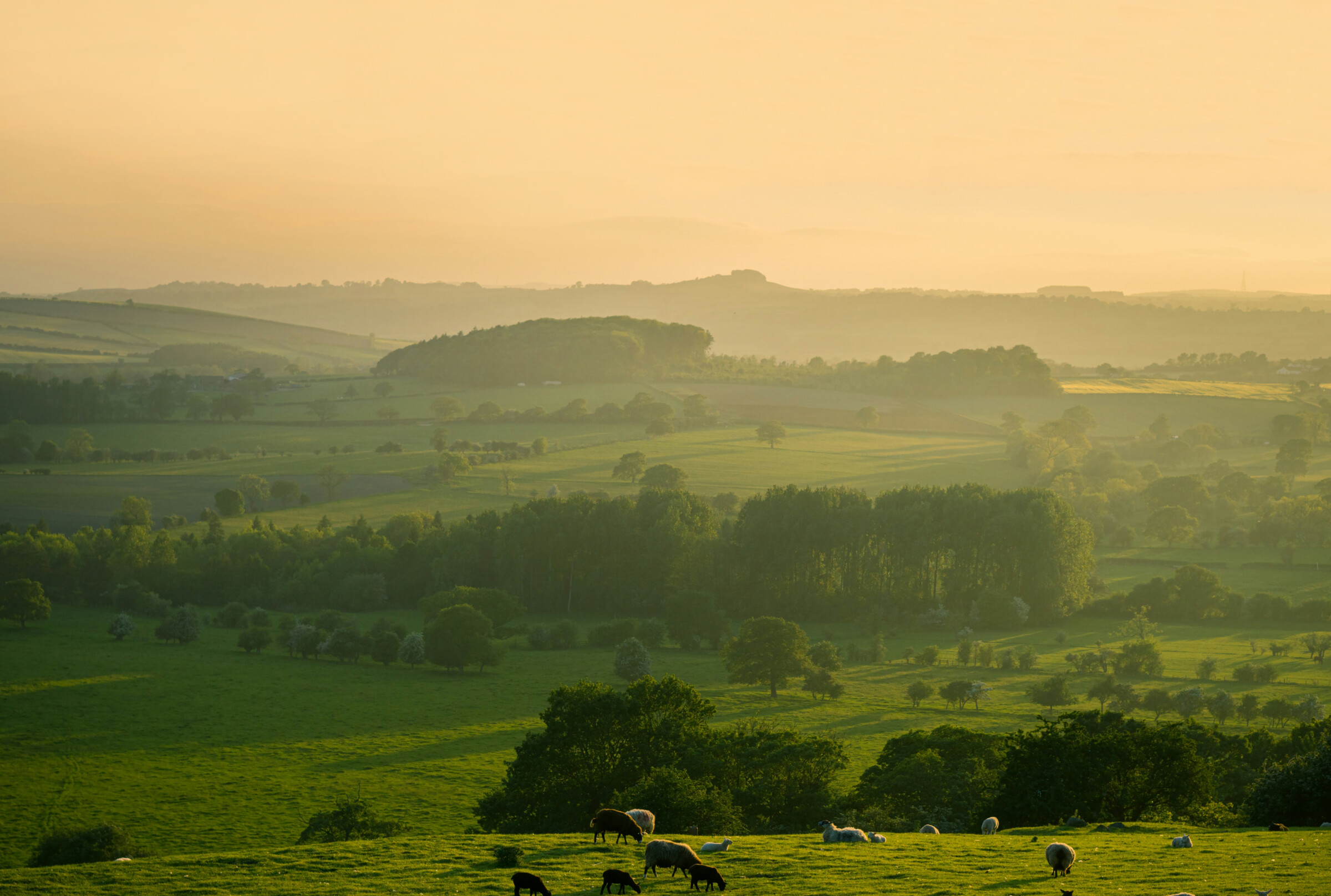 Pastoral Symphony